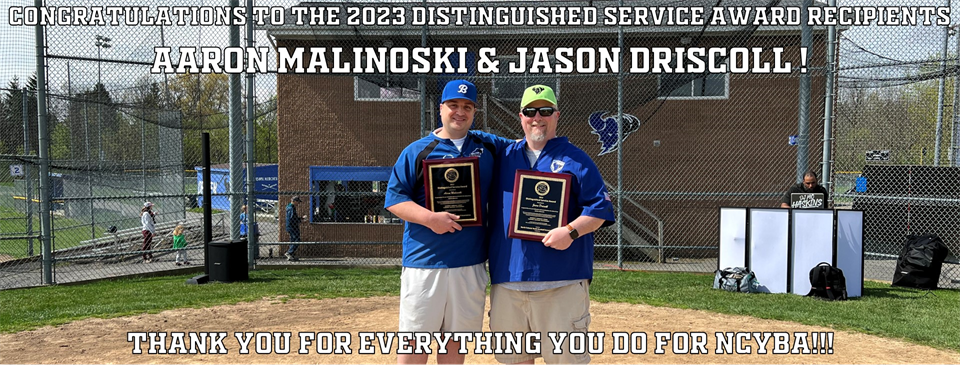2023 Distinguished Service Award Recipients