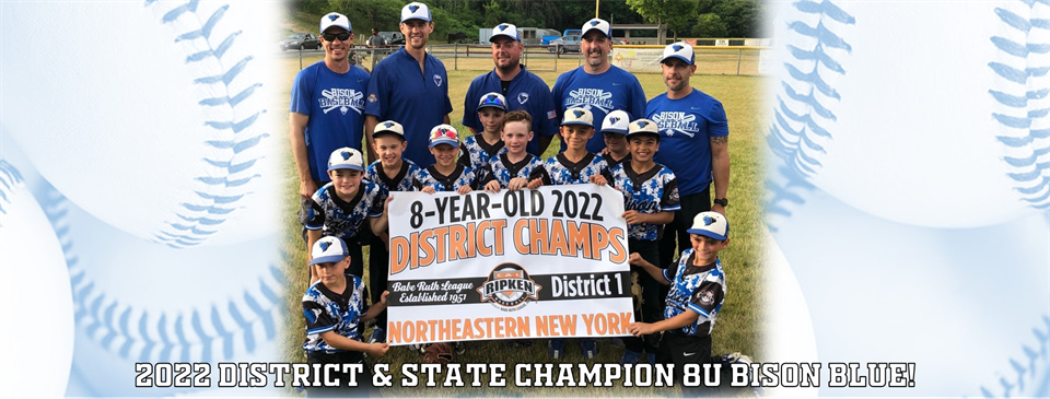 2022 8U District & State Champion Bison Blue